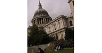 Oak steps at St Pauls