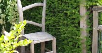 Chestnut Garden Chair