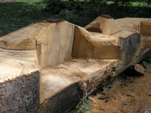 Softwood bench