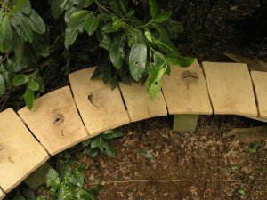 Curved oak garden seat