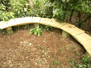Curved oak garden seat