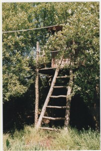 Softwood treehouse with zip line